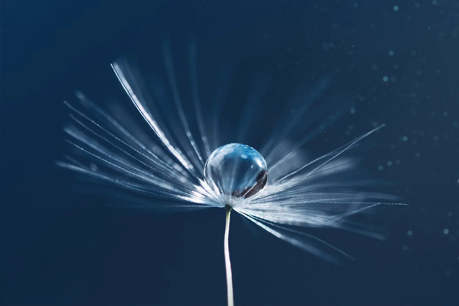 Infusion Therapy & Longevity