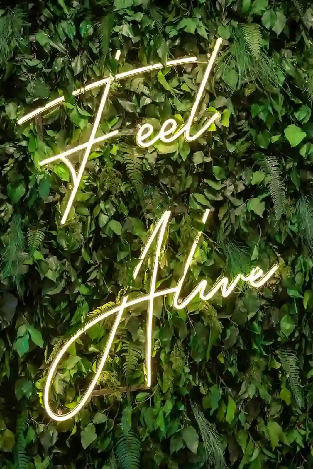 Medical weight management